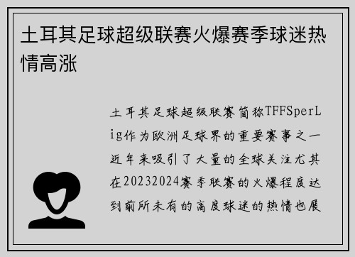 土耳其足球超级联赛火爆赛季球迷热情高涨 土耳其足球超级联赛火爆赛季球迷热情高涨